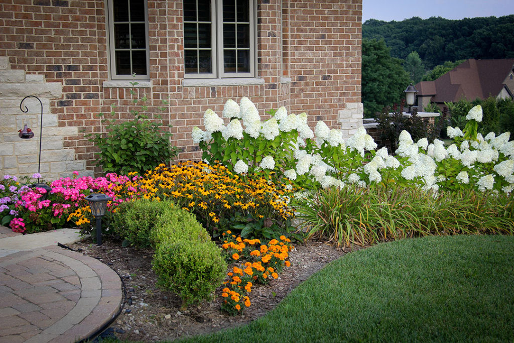 Front yard makeover landscape