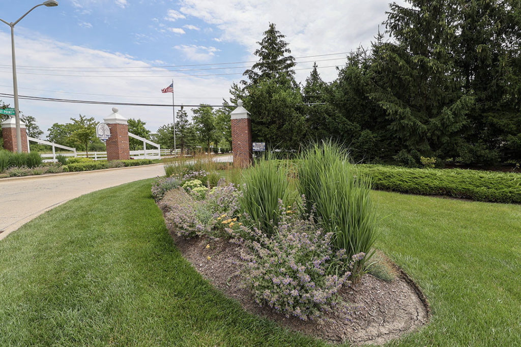 summer perennial garden