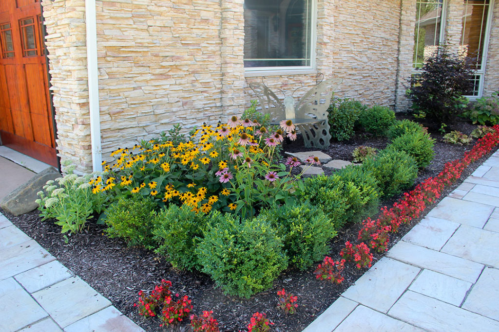 English garden boxwood hedge