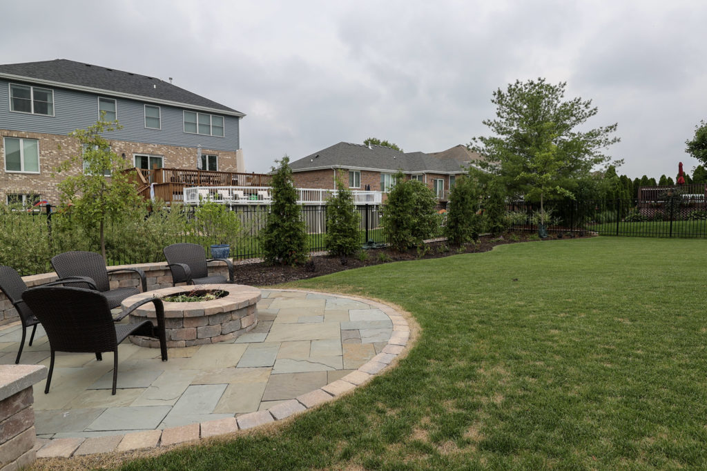 arborvitae planting