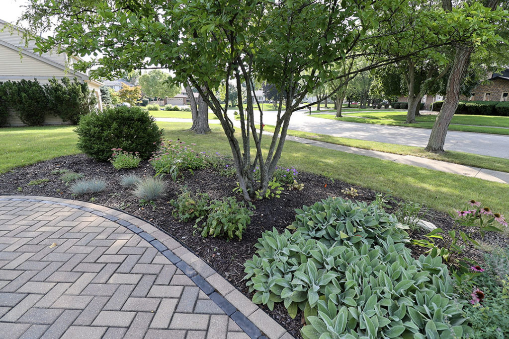 unilock walkway and perennial planting