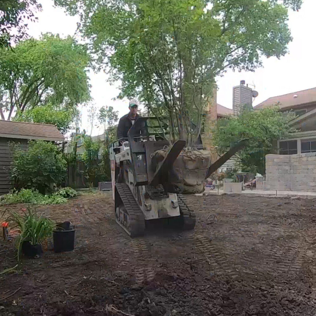 Tree installation