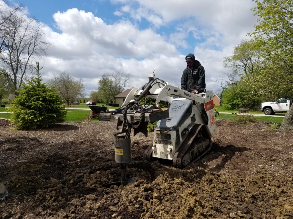 tree installation