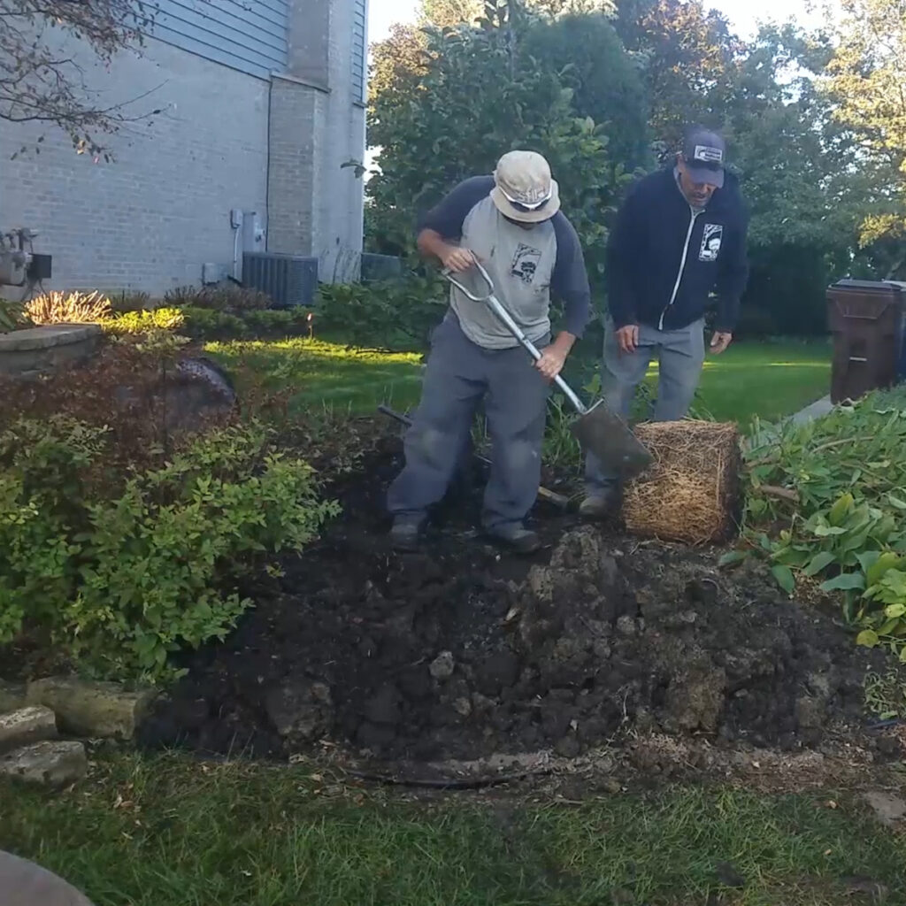 crew planting installation