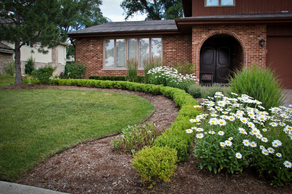 Front yard landscape