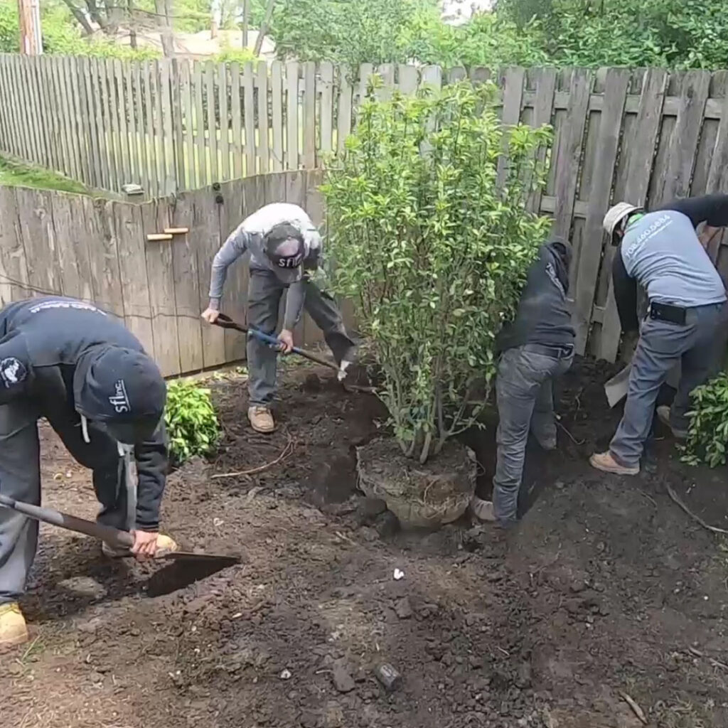 crew landscape installation