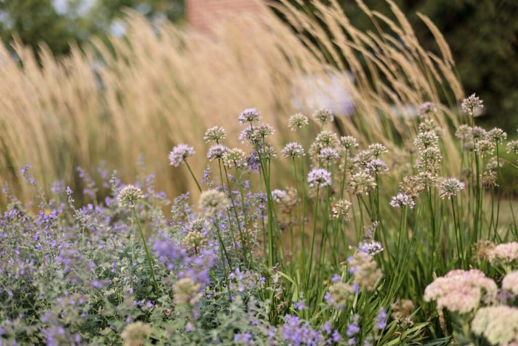 carl forester grass
