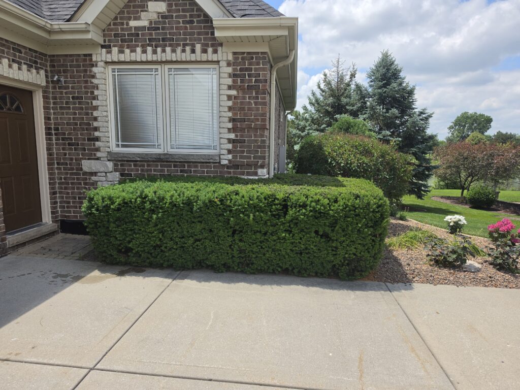 Bush trimming repair