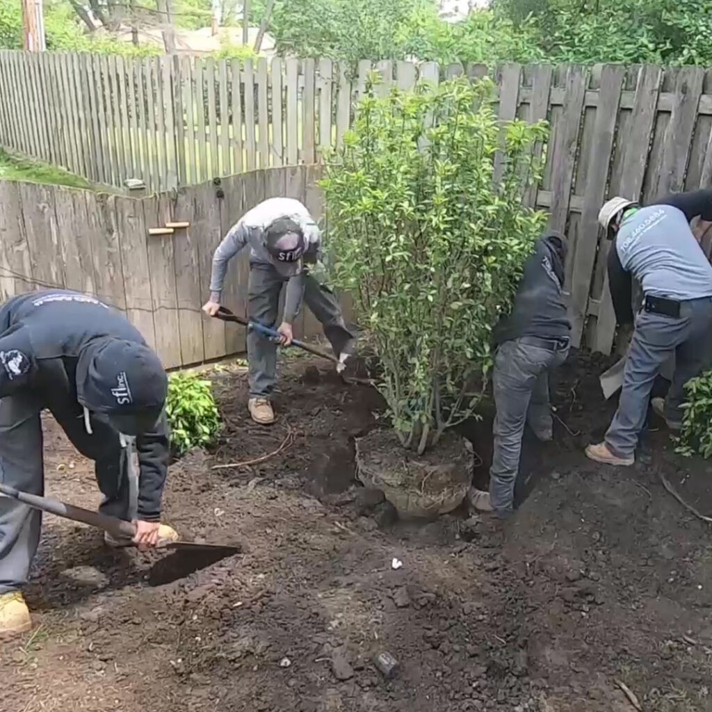 crew planting installation